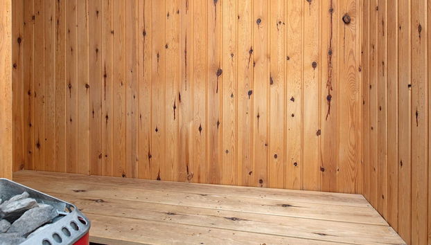 Holiday Home in Thisted - Foto 2, Sauna