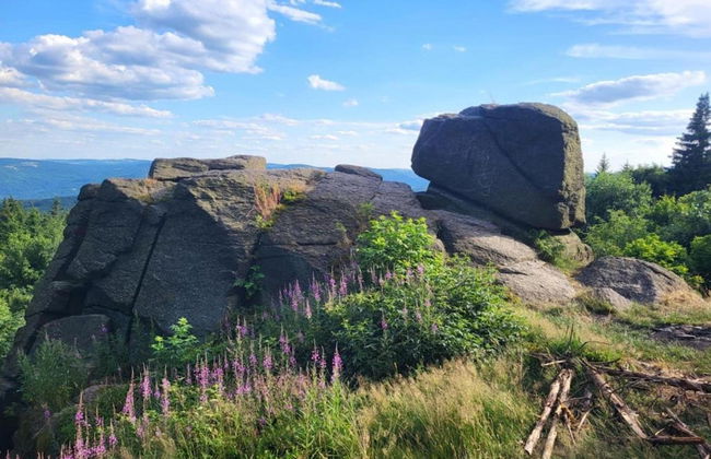 Comfy Holiday Home near Forest in Medenec - Foto 33