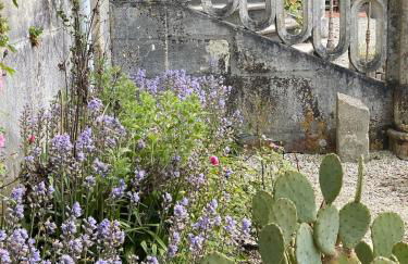 Château du Port Hublé - Foto 57