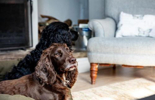 1 Bed in Brockenhurst oc-53042 - Foto 21