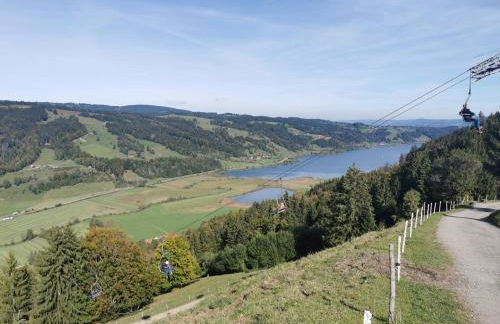 Konstanzer Bergblick mit Wintergarten - Foto 36