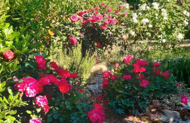 Villa La Moraiola - Foto 49