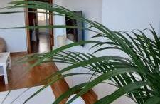 Litoral beach - Photo 12