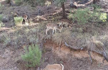 Alojamiento Rural Casa Inocente - Foto 17