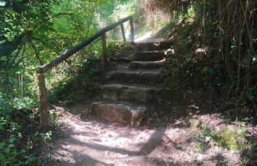 Alojamientos Sierra de Cádiz Benamahoma - Foto 36