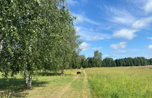 Nad Wigrami Agroturystyka Tarasiewicz - Foto 72