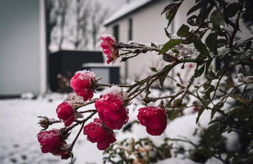 Büchelbergerei - Chaletdorf Altmühlsee-Brombachsee - Foto 39