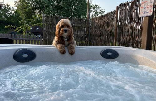 Shepherds Hut with Hot Tub - Foto 9