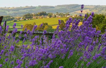 The Rock self-catering holiday cottage and garden lodges - Foto 20