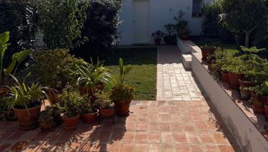 Casinha do Burro, Casas do Poente, Rogil, Aljezur - Photo 4, Garden