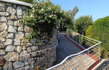Tesoro of Ithaca - Foto 32