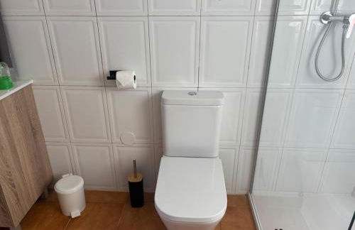 El Castillo-CasaRural-Escalona del Alberche-Toledo - Foto 45