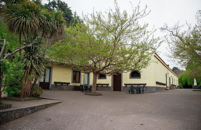 L'Antica Vigna - Photo 1