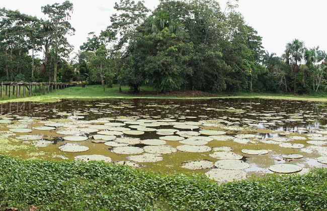 Tour di 5 giorni a Puerto Nariño, Mocagua e Amacayacu - Foto 7