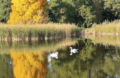 Luxury House with Garden near Chopin Airport - Foto 4