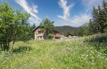 Chalet Le Plaigny - golf de Méribel - Foto 10