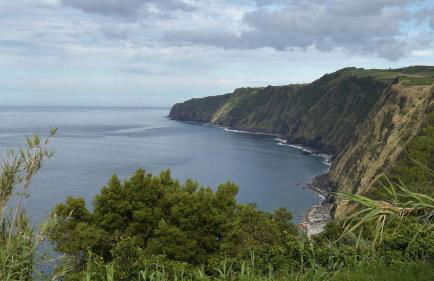 Resilience House - Photo 34