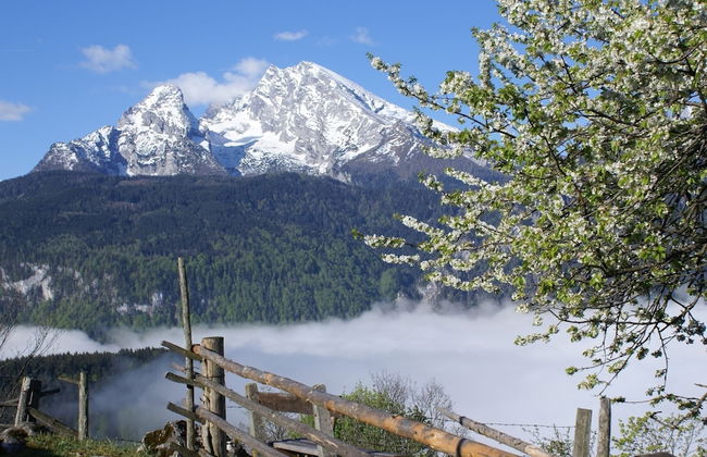 Traumhafte Wohnung im Berchtesgadener Land - Foto 18