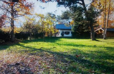 Ferienhaus Veronika mit 2000qm Garten und Bergblick - Photo 33