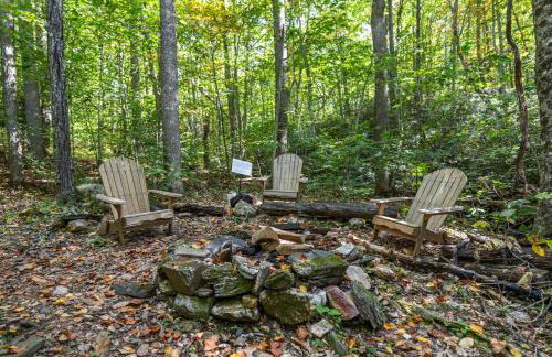 Our Place to Paws 4 Bd Lux Blue Ridge Mnt Cabin - Photo 7