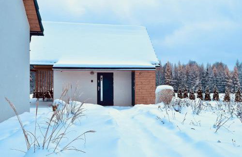 Galena i Gnejs - Foto 18