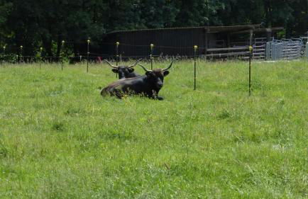 Ferienhaus Broche - Foto 51