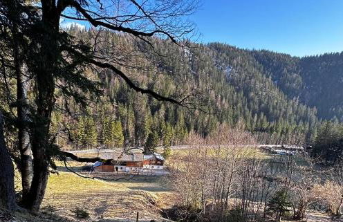 Mitteralm-Kreuth - Foto 61