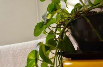 Ed Casablanca proximo a Av T63 shopping e parque - Photo 20