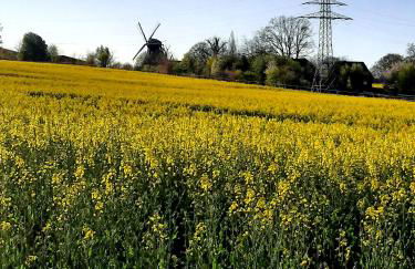 Ferienwohnung Seestern in Reinbek - Foto 13
