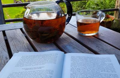 Pałac Rząsiny - Foto 62