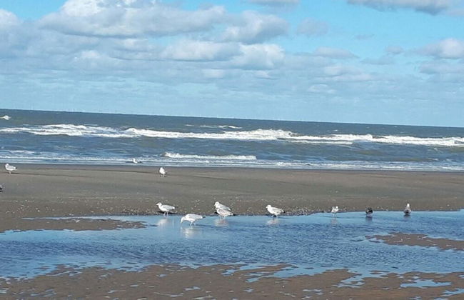 8 "nordstern" in Haus Atlantic - Photo 18