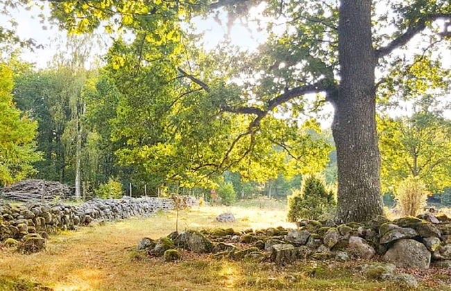 4 Person Holiday Home in Axvall-by Traum - Foto 25