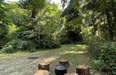 The Black Bear Cabin - Foto 10