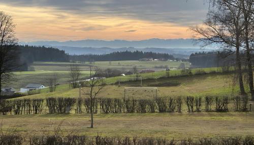 Side-by-Side Tiny Houses - Foto 4