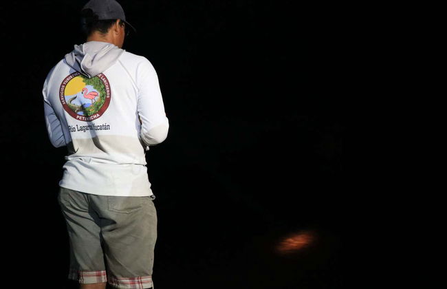 Mangroves Night Cruise - Photo 3