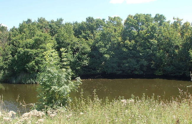 Boutique Apartment in Ritthem With Terrace - Foto 34