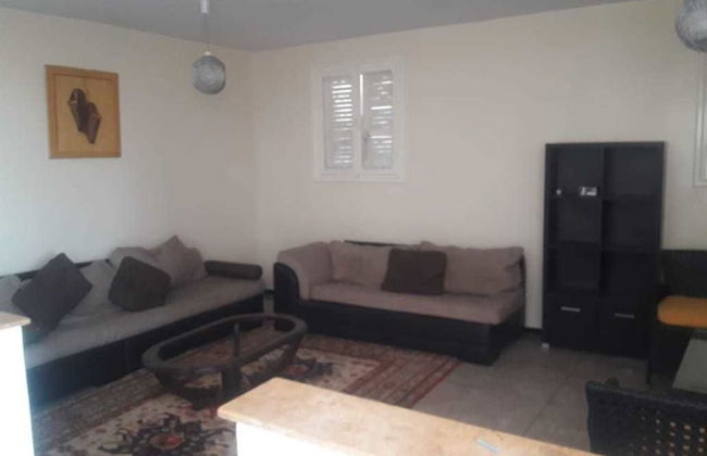 Paloma Pied Sur Sable - Foto 3