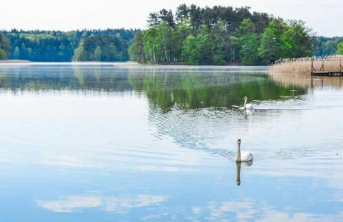 Wiejska 21 - Foto 28