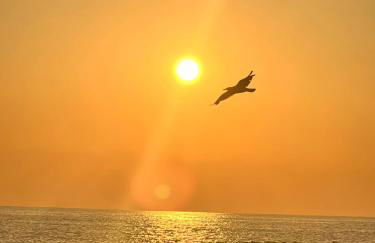 ROMA GOLDEN BEACH Apartment - Foto 31