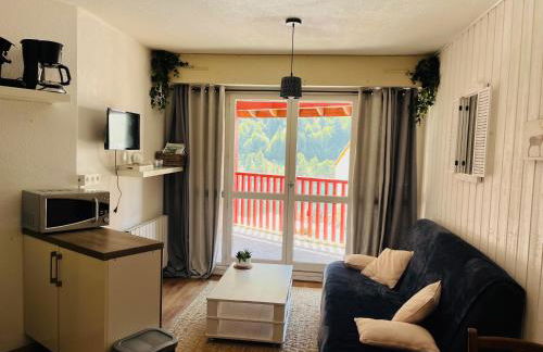 appartement vue sur lac - Foto 8