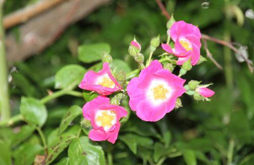 Church Farm - Foto 29