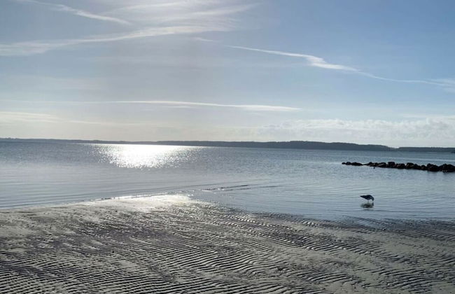 Holiday Apartment Fischbude - Foto 20