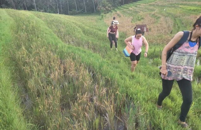 Balitrees Retreats - Foto 17