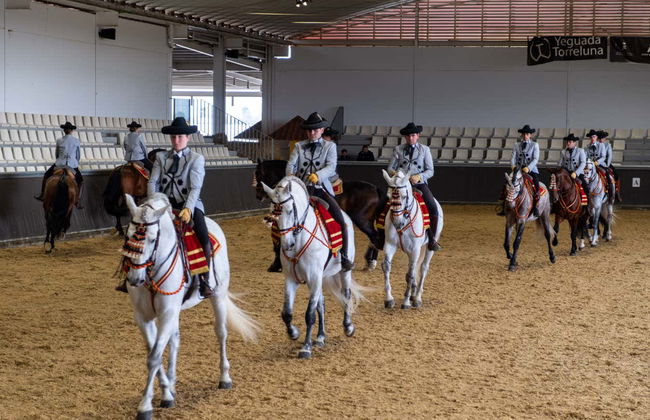 Spectacle équestre à Carmona - Photo 5
