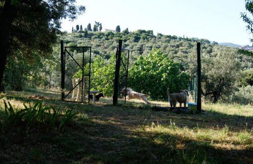 Dolce Vita - Foto 62