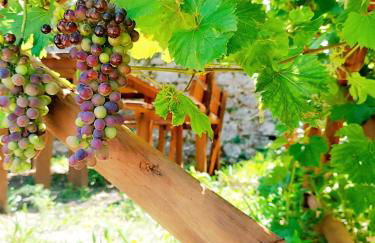 Florence House - Foto 44