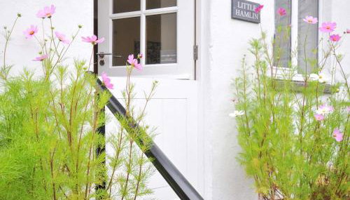 Little Hamlin - Photo 3