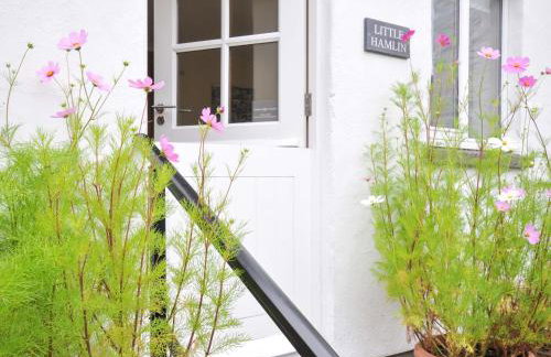 Little Hamlin - Foto 3