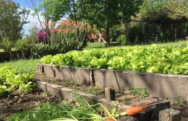 Estancia La Violeta - Foto 48