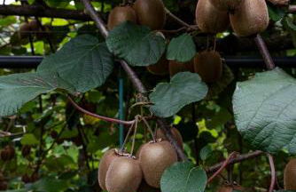 Hotel Agriturismo Al Luogo Del Giulio - Foto 104